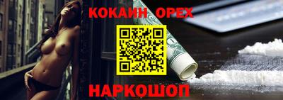 Альфа ПВП Малгобек