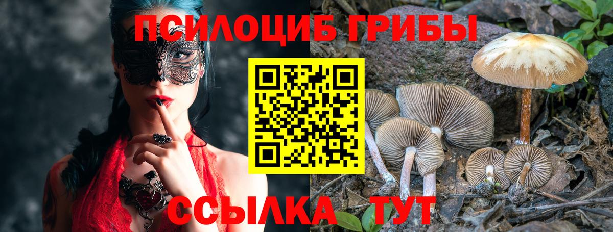 Йошкар-Ола  Псилоцибиновые грибы мицелий  Вход с VPN 